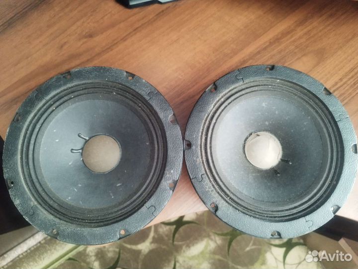 Динамики p.audio 100