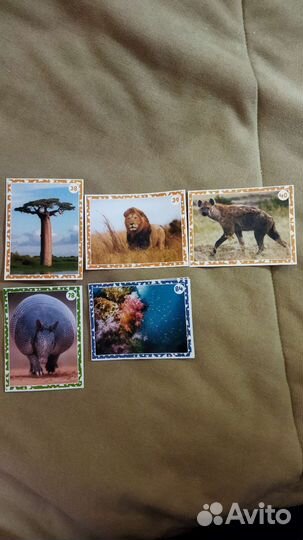 Наклейки Живая планета пуд