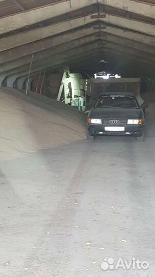 Семена пшеницы 3 класс