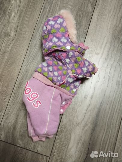 Одежда для собак мелких пород