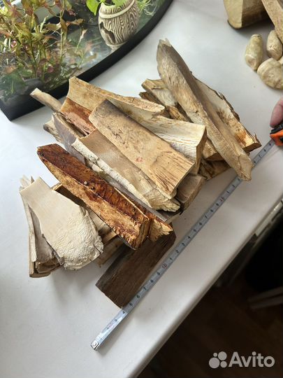 Бивень мамонта щепа