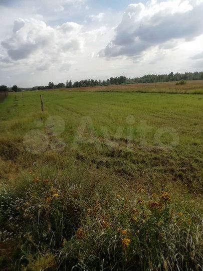 Участок 15 сот. (ИЖС)