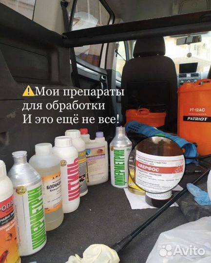 Уничтожение тараканов, клопов, блох и тд