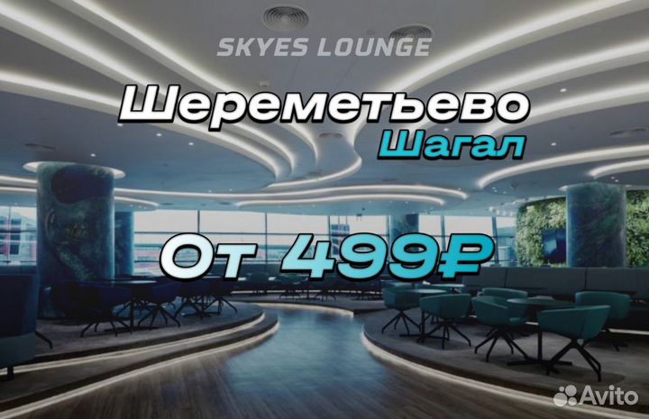 Проход в бизнес зал Шереметьево (Шагал, и т.д)