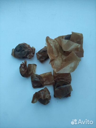 Набор плашек СССР