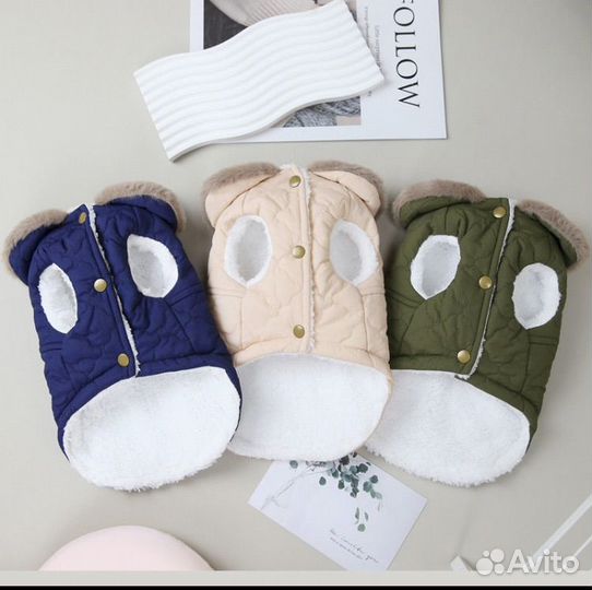 Одежда для собак