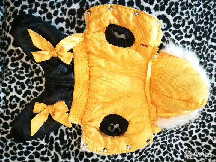 Одежда для собак