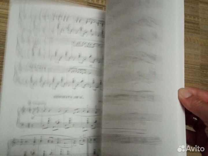 Азбука Аккордеониста