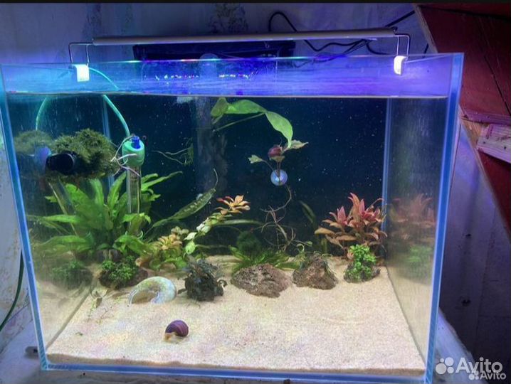 Аквариум 55 литров,комплект