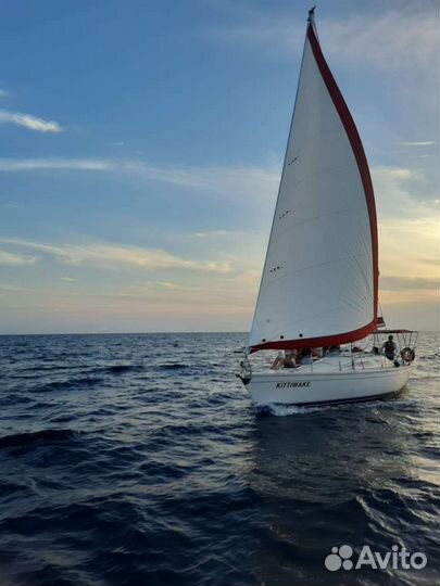 Морские прогулки, аренда Яхты, рыбалка на Яхте