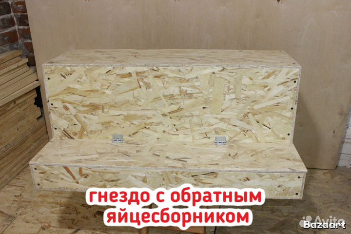 Гнездо для кур несушек с яйцесборником