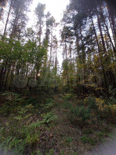 Участок 17 сот. (ИЖС)