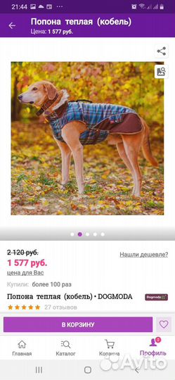 Попона для собак