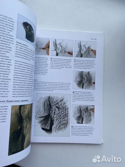 Книга животные рисование