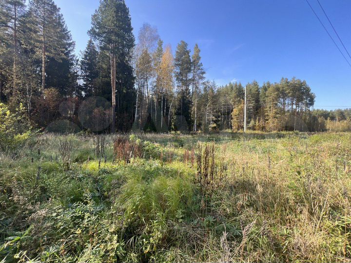 Участок 8,5 сот. (ИЖС)