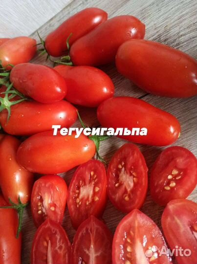 Семена Минусинских и других томатов и перцев