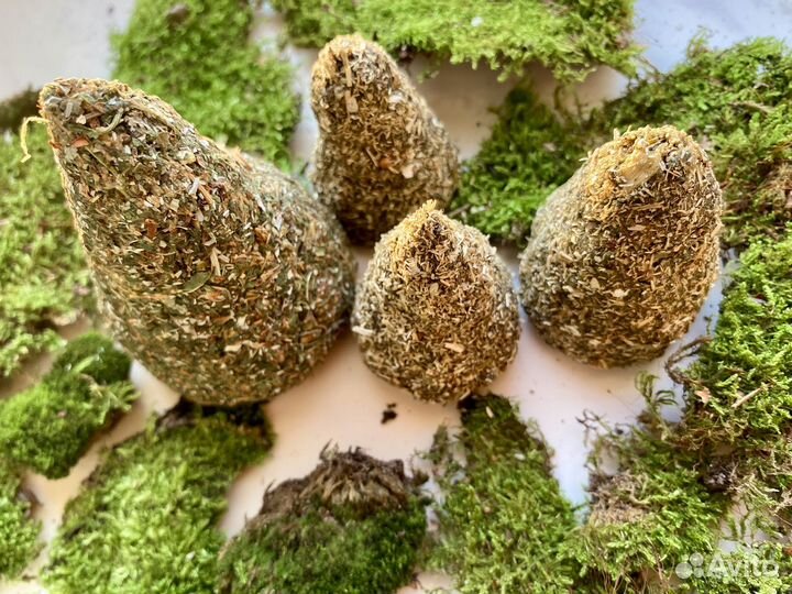 Ведьмина свеча