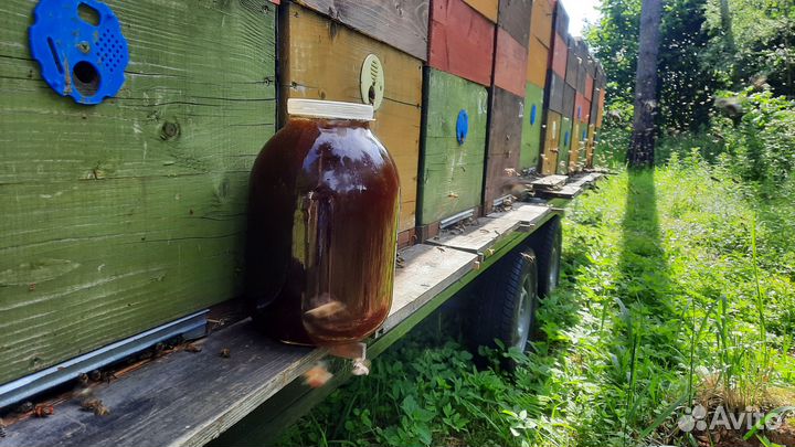 Мёд липовый,разнотравье, дягиль