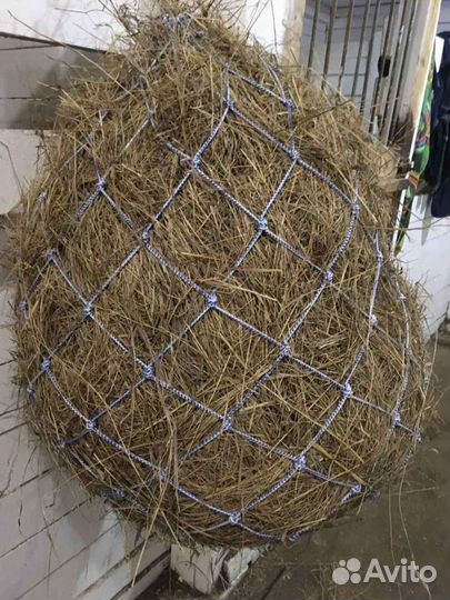 Рептух (медленная кормушка)