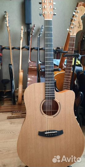 Электроакустическая гитара с допами