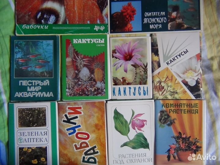 Открытки СССР Цветы, природа и пр