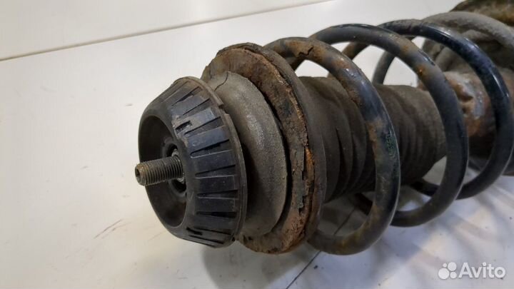 Амортизатор подвески Toyota Yaris, 2008