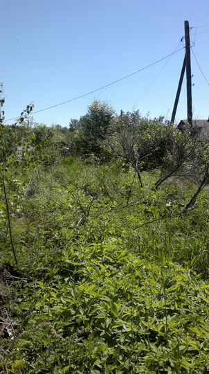 Участок 17 сот. (ИЖС)