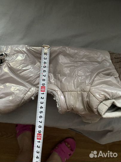 Одежда для собак мелких пород