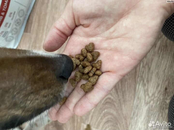 Корм для собак 35 мяса