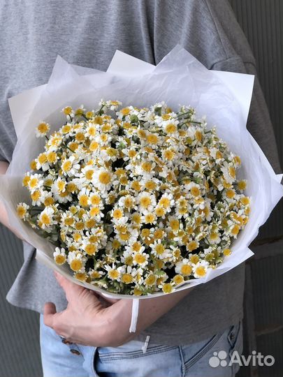 Букет ромашек