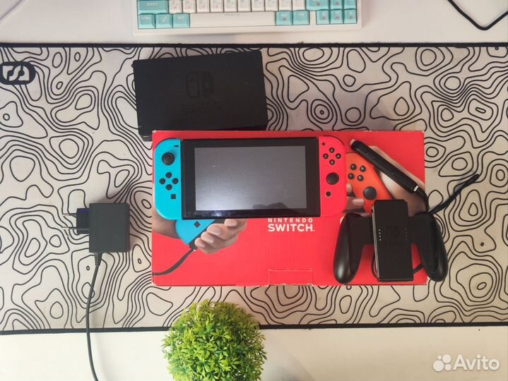 Nintendo switch