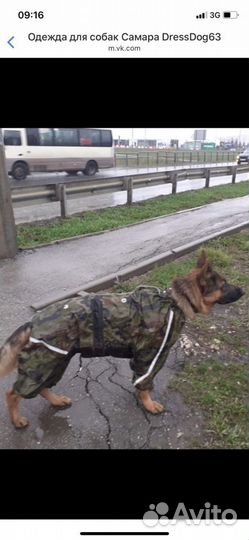 Пошив одежды для собак