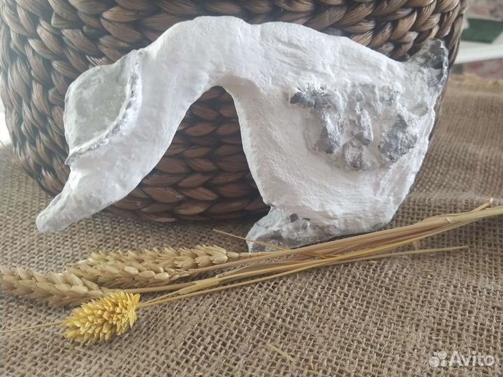 Фигура, любопытный гусь