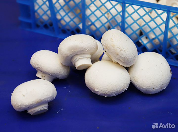 Электромонтер