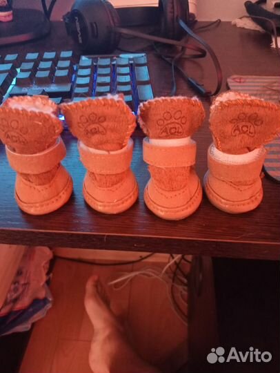 Ботиночки для собак мелких пород