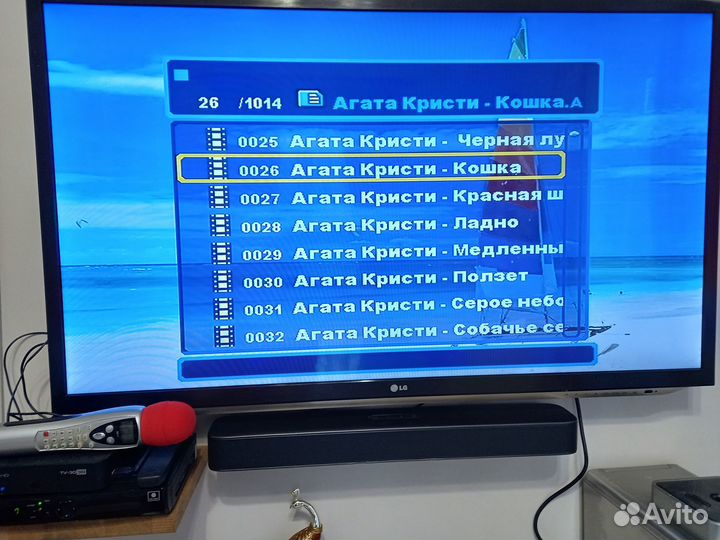 Картридж в караоке микрофон Leadsinger, Favorit SD