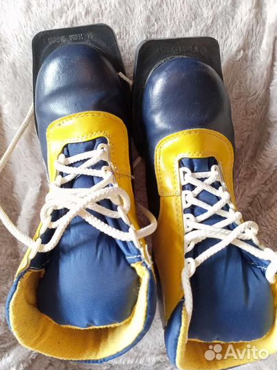 Лыжные ботинки