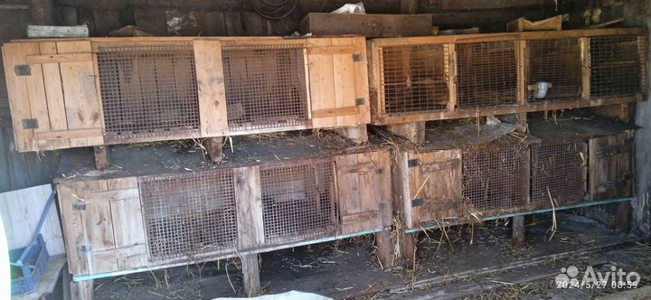 Клетки для кроликов бу