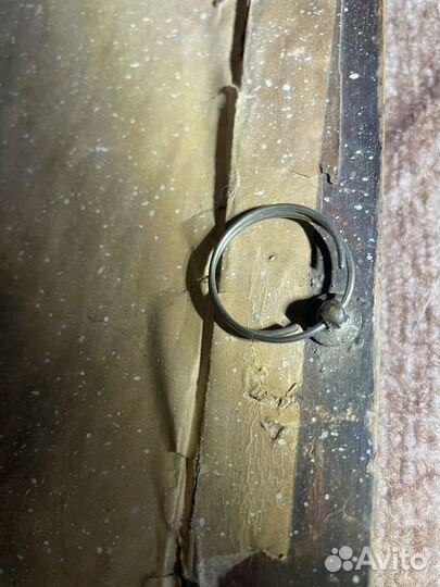 Сикстинская мадонна гравюр 1857г