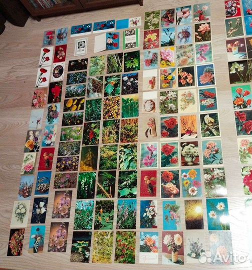 Открытки цветы 200 штук СССР разом