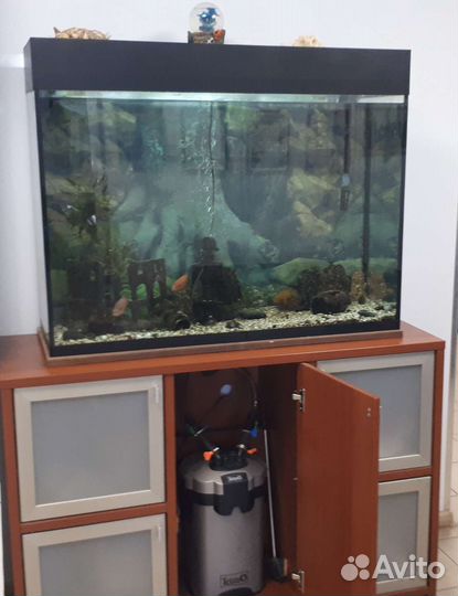 Аквариум