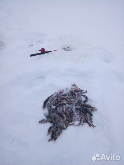 Отдых и рыбалка