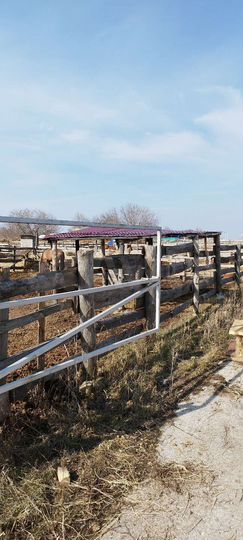 Участок 2,7 га (ИЖС)