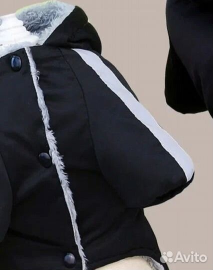 Зимние комбинезоны для маленьких собак(новые)