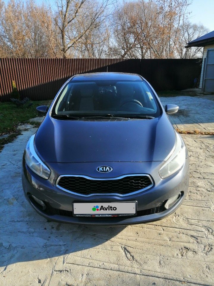 Kia Ceed: фото владельца