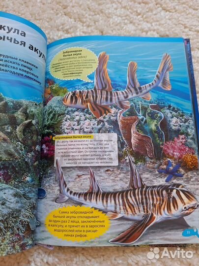 Детские книги пакетом