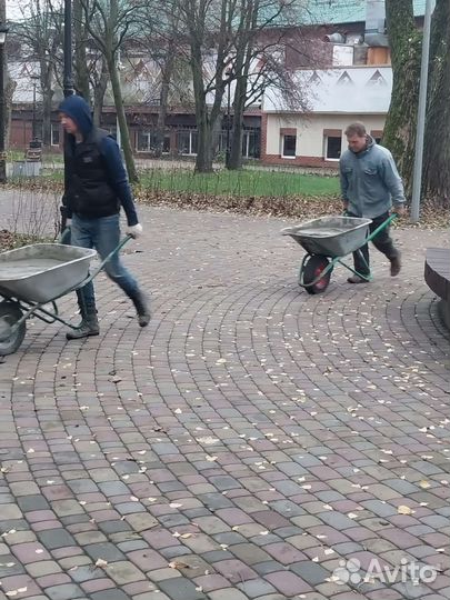 Разнорабочие