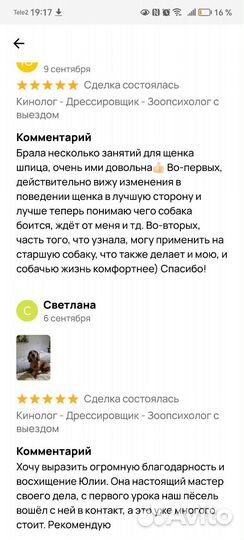 Индивидуальная передержка у кинолога