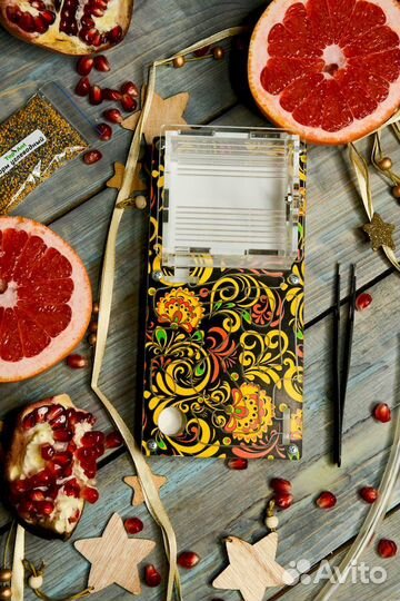 Формикарий/ Подарок для ребенка/ Муравьиная ферма