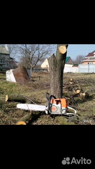Спил деревьев сад огород